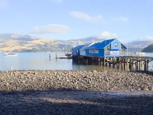 Main Wharf
