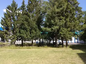 Mayak