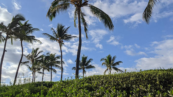 Po‘olenalena Beach Park