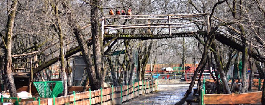 Szigethalmi Vadaspark