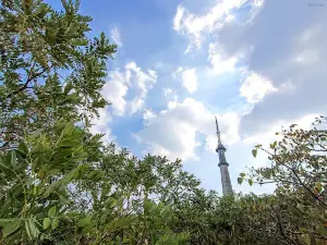 Mhaismal Doordarshan Tower