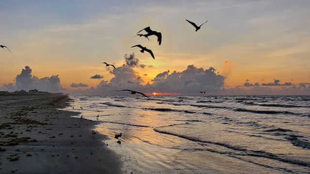 Sea Shell Beach - Pocket Park #3