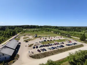 Kalsnavas arborētums