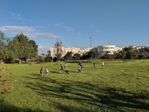 Villa Comunale