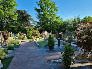 Putt in the Park