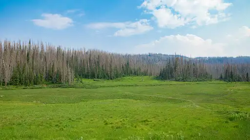 Wolf Creek Interpretive Site (recgovnpsdata)