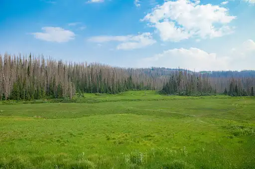 Wolf Creek Interpretive Site (recgovnpsdata)