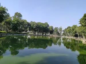 Herbal Park