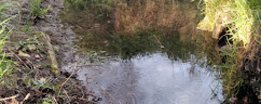 Portlíkova studánka