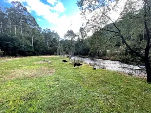 Lightning Creek Campground