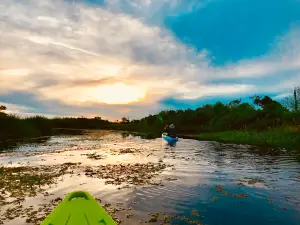 Bayou Adventure - Parc des Families
