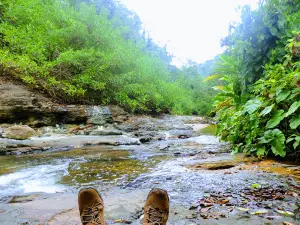 Sierra Del Divisor National Park