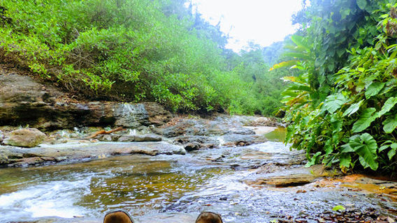 Sierra Del Divisor National Park