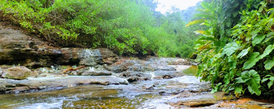 Sierra Del Divisor National Park