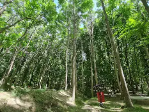 Mare khuni park