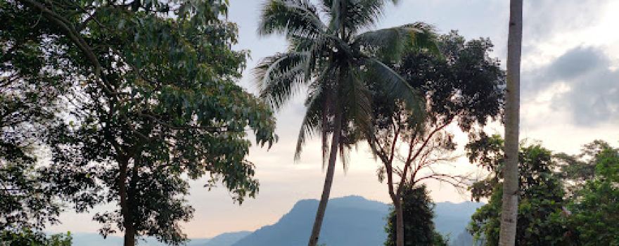Rawa Danau