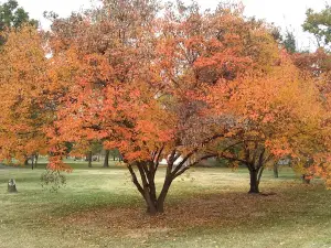 Weinand Park