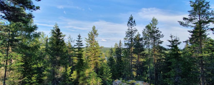 Trollberget Naturreservat