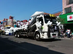 Cine + Tanópolis Art