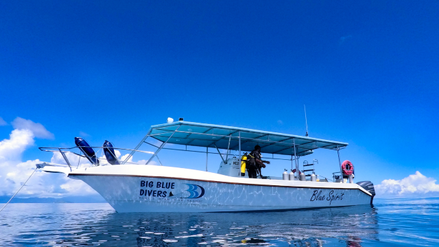 Big Blue Divers