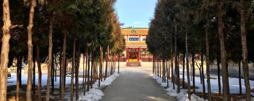 jing ye si