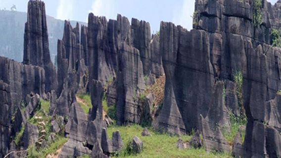 Quankou Ten Thousand Mu Grassland and Stone Forest Scenic Area