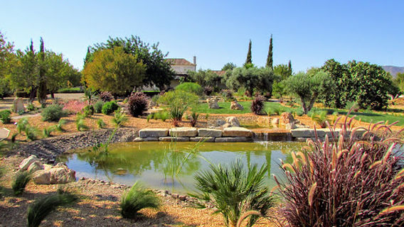 Jardimgarve - Landscaping & Gardening