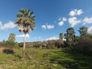 Reserva Natural Iberà