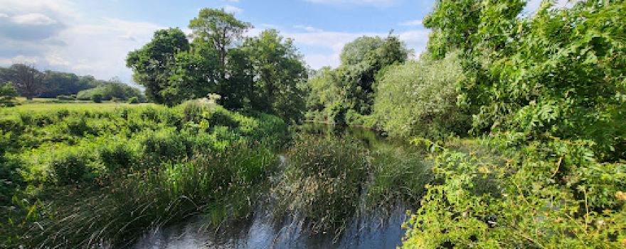 Blackdown Mill