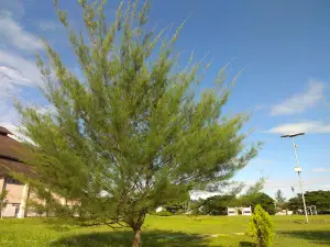 Lapangan Nusantara