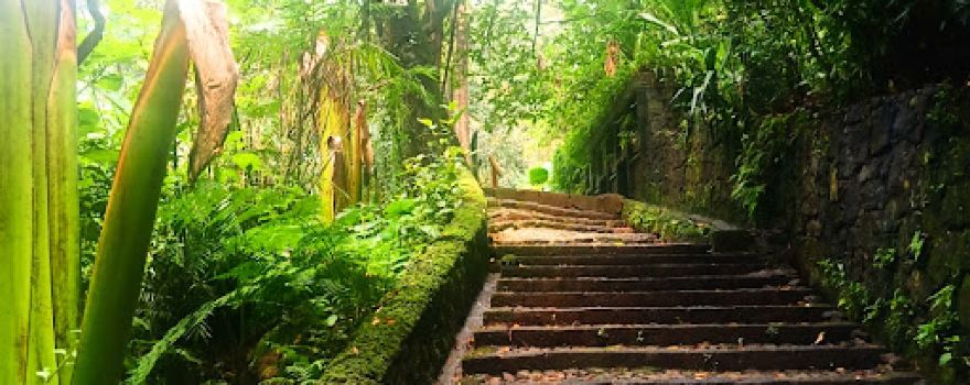Uruapan National Park