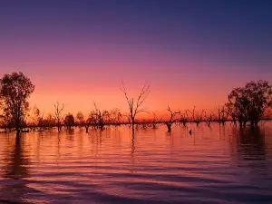 Lake Pamamaroo