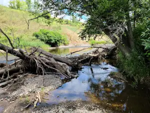Lewis & Clark Trail State Park