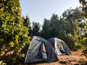 Uma Adventure 'Tamia & Patalkot Camping'