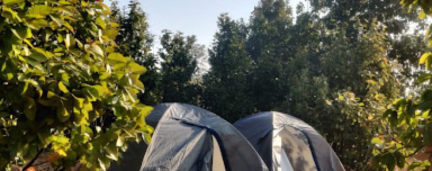 Uma Adventure 'Tamia & Patalkot Camping'