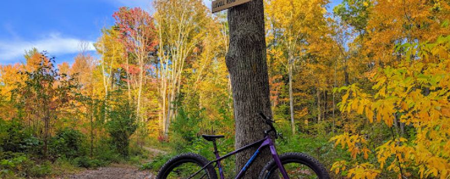 Stratham Hill Park