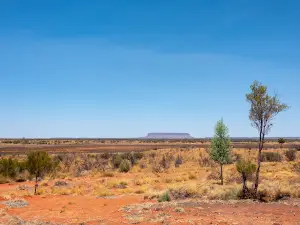 Mount Conner Lookout