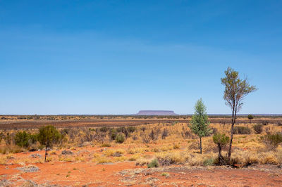 Mount Conner Lookout