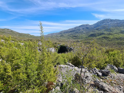 Vranjaca Cave