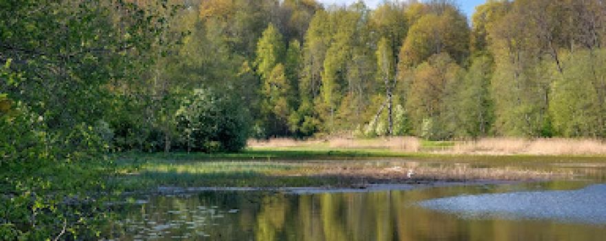 Dabas liegums "Pilskalnes Siguldiņa"