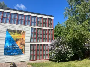 Zorn Museum