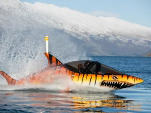 Hydro Attack