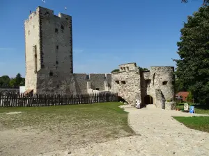 Kinizsi Castle