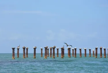 Municipio de Sabana de la Mar