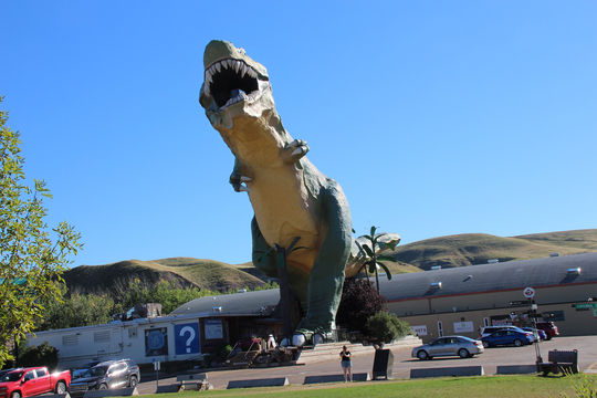 World's Largest Dinosaur
