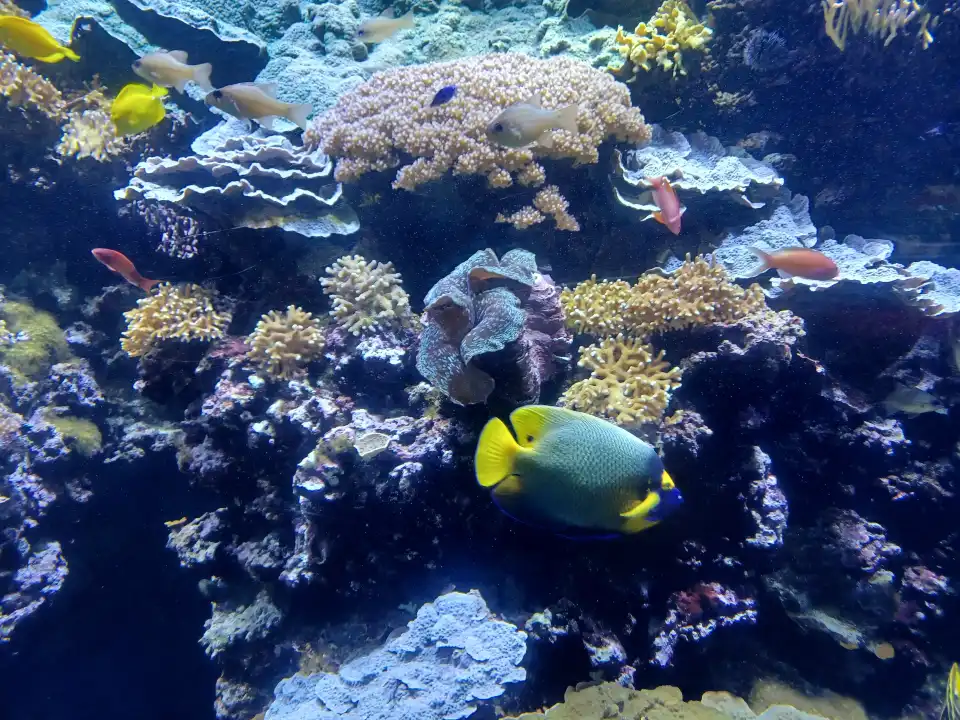 3_Oceanopolis