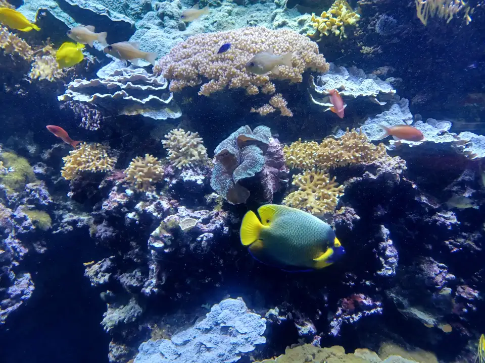 3_Oceanopolis