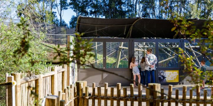 Hamilton Zoo