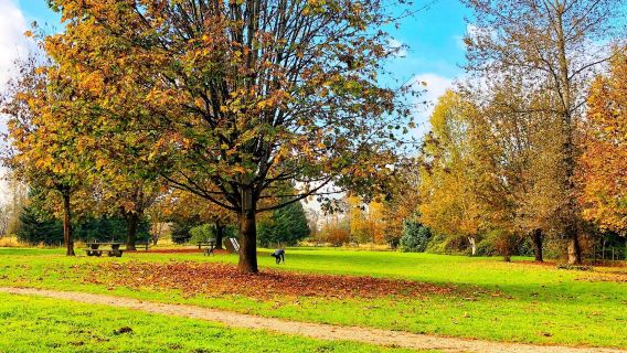 Derby Reach Regional Park