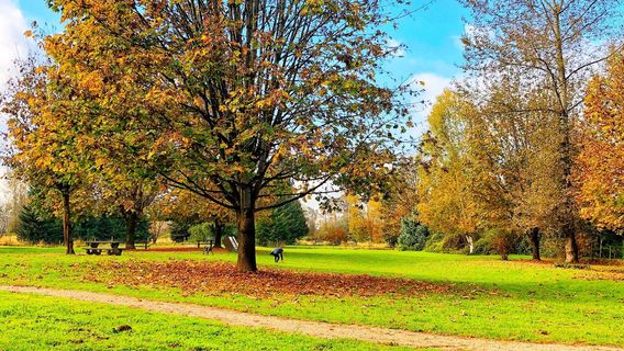 Derby Reach Regional Park